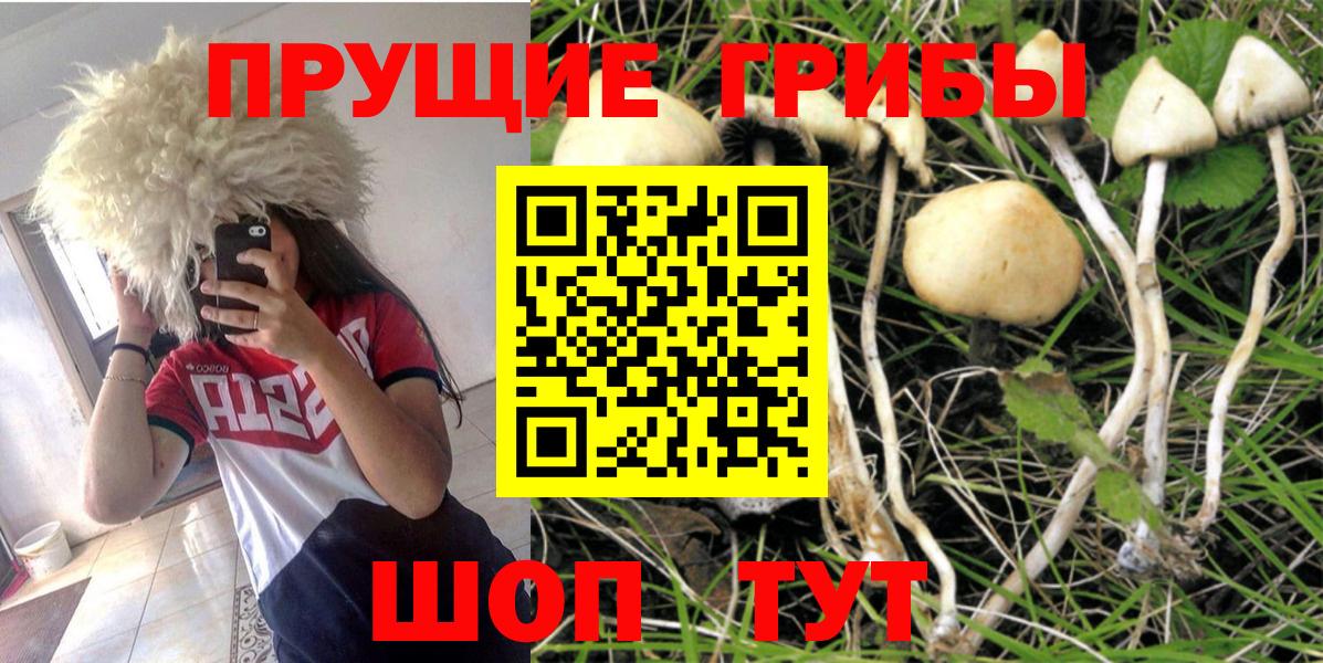 Лыткарино  Галлюциногенные грибы ЛСД  Галлюциногенные грибы MAGIC MUSHROOMS  Вход с VPN 
